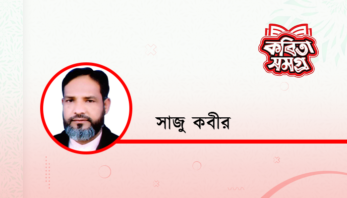 এ কেমন সুখ