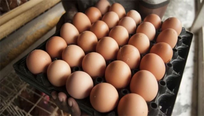 অস্থির ডিমের বাজার, দামেও রেকর্ড