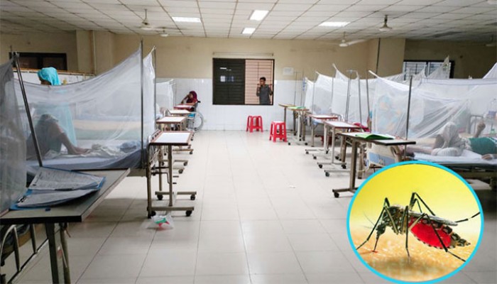 ডেঙ্গুতে ২৪ বছরের মধ্যে সর্বোচ্চ শনাক্ত ও মৃত্যু