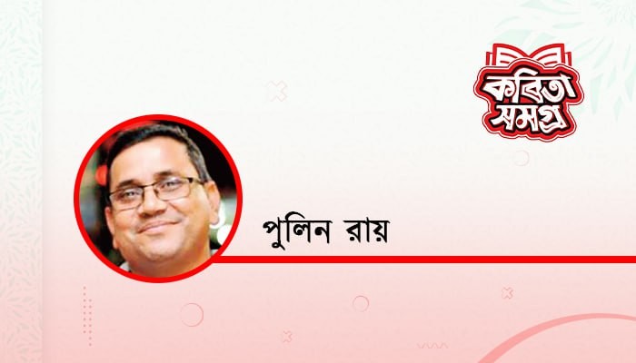 সুশীতল ছায়