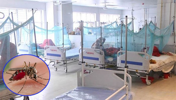 চলতি বছর ডেঙ্গুতে মৃত্যু ১৬০০ ছাড়াল চলতি বছর ডেঙ্গুতে মৃত্যু ১৬০০ ছাড়াল