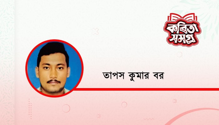 বিজয় দিবস
