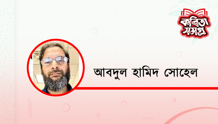 বিজয় মানে