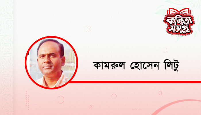 পিছু ডাক