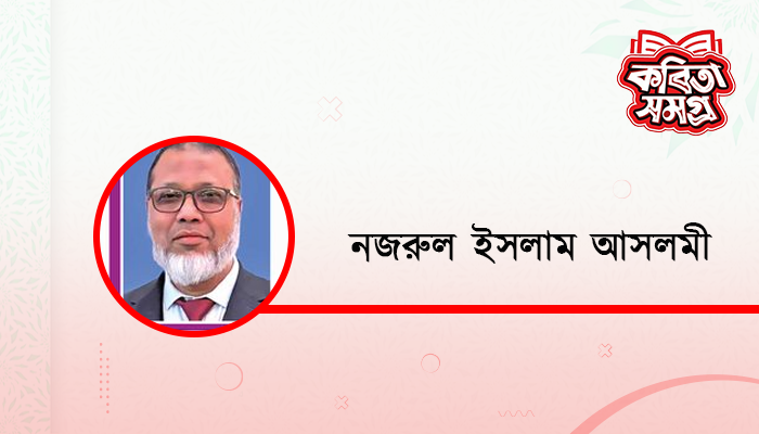 নতুন আলমগীর