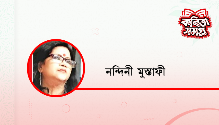 আমার রাতের পাখি