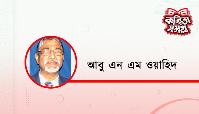 নিঃশব্দ ডানা