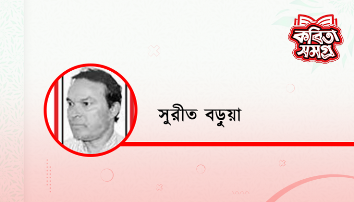 শ্রাবণ মেঘের দিন