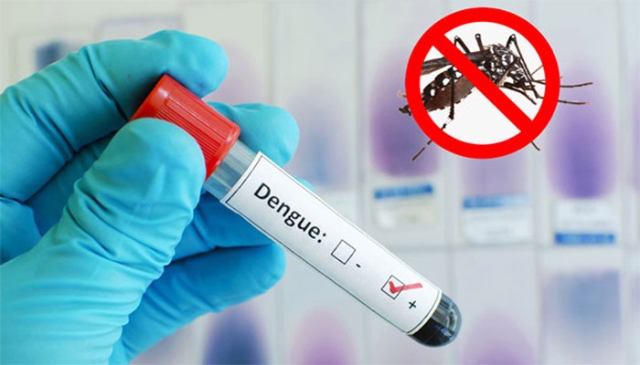 দেশে ডেঙ্গুতে আরও ৫ জনের মৃত্যু, হাসপাতালে ১১৪৭