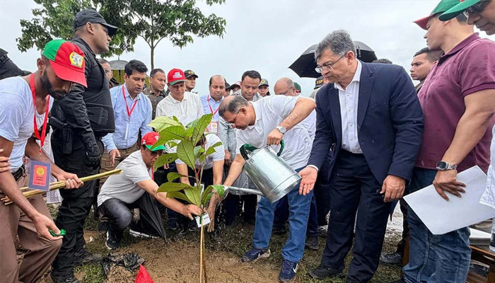 দেশব্যাপী ২৫ কোটি বৃক্ষরোপণ কর্মসূচির উদ্বোধন করলেন প্রধানমন্ত্রী