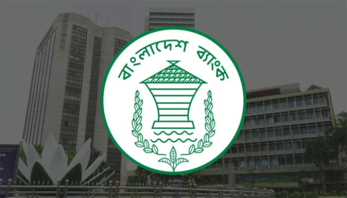 প্রবাসীদের জন্য বাংলাদেশ ব্যাংকের বিশেষ অ্যাকাউন্ট সুবিধা