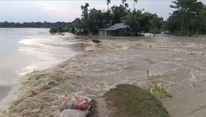 মৌলভীবাজারে মনু নদীর বাঁধ ভেঙে ৩০ গ্রাম প্লাবিত, পানিবন্দি অর্ধলাখ মানুষ