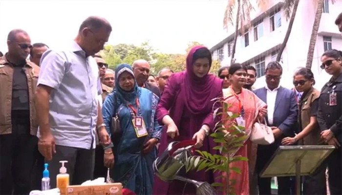 ​ঢাকা মেডিক্যালে বৃক্ষরোপণ কর্মসূচি উদ্বোধন করলেন প্রধানমন্ত্রী