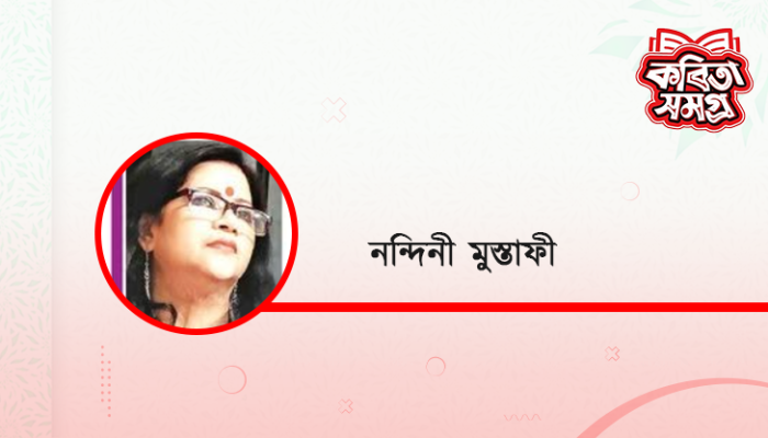 ​নন্দিনী বলে কেউ ছিল না কখনো