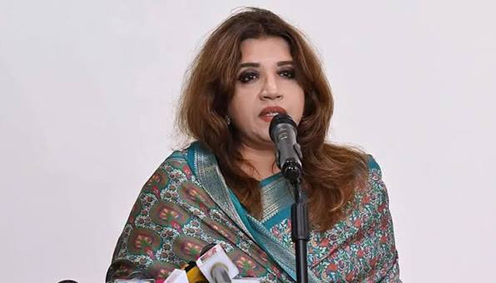 রোহিঙ্গা প্রত্যাবাসনে আন্তর্জাতিক চাপ বাড়াতে কাজ করছে সরকার : পররাষ্ট্র প্রতিমন্ত্রী