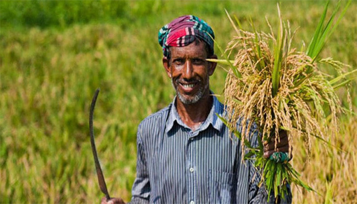 ​১৪ লাখ কৃষকের সুদসহ কৃষিঋণ মওকুফ