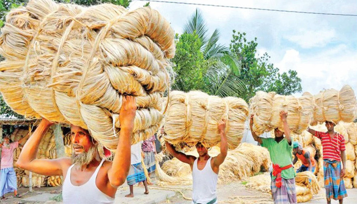 ​কাঁচা পাট ও পাটজাত পণ্য রপ্তানি করে ১০ বছরে বাংলাদেশের আয় ৮৪ হাজার কোটি টাকা