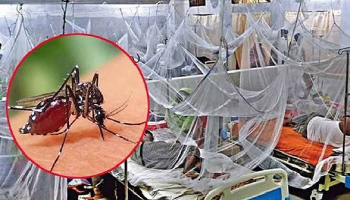 দেশে ২৫ দিনে ডেঙ্গুতে ১১৪ জনের মৃত্যু