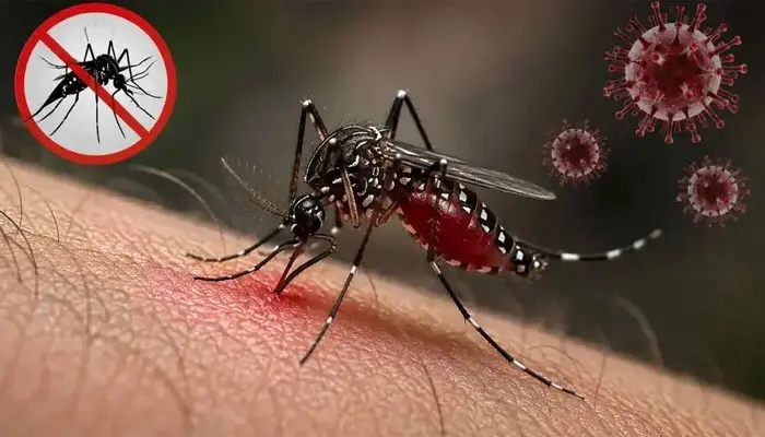 দেশে ডেঙ্গুতে ৬ জনের মৃত্যু, হাসপাতালে ভর্তি ২০৮৯