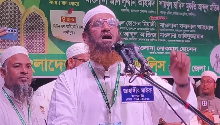 যেই ভূতে শেখ হাসিনাকে ধরেছিল, সেই ভূতে বিএনপিকে ধরেছে: মামুনুল হক